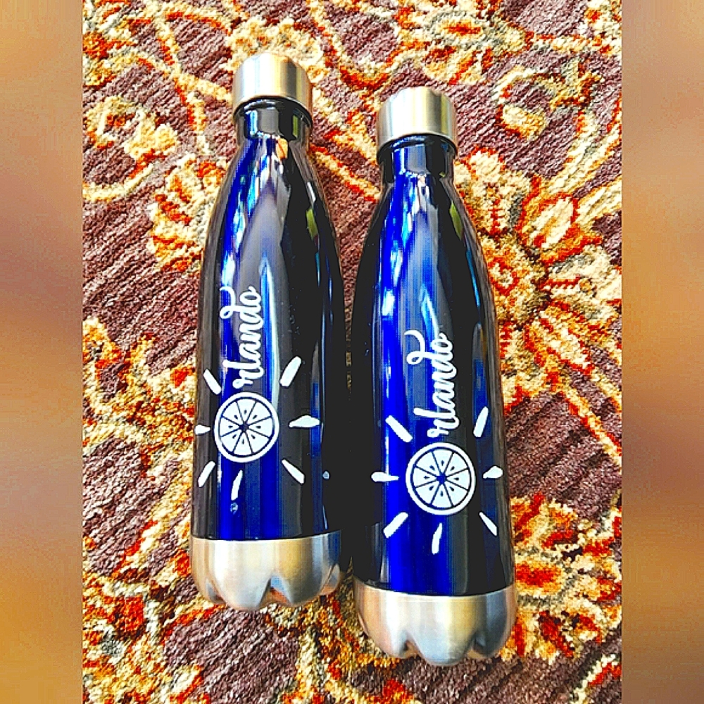 NWOT Orlando Stainless Steel Water bottle set